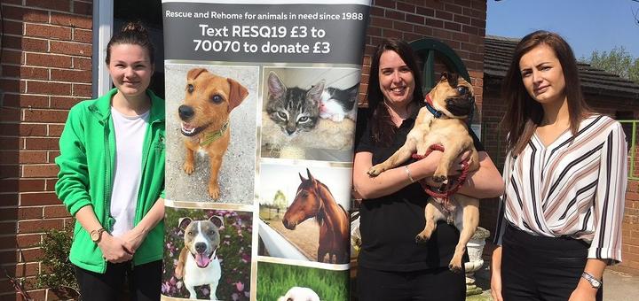 Animal charity secures donation from Wake Smith