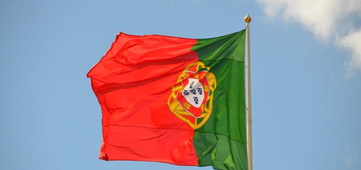 Portuguese Company Makes Sheffield The Only Option